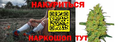 ГАЛЛЮЦИНОГЕННЫЕ ГРИБЫ Заволжье