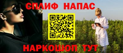 mdpv Заводоуковск