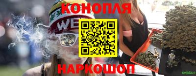 mdpv Заводоуковск